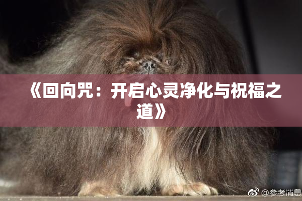 《回向咒：开启心灵净化与祝福之道》
