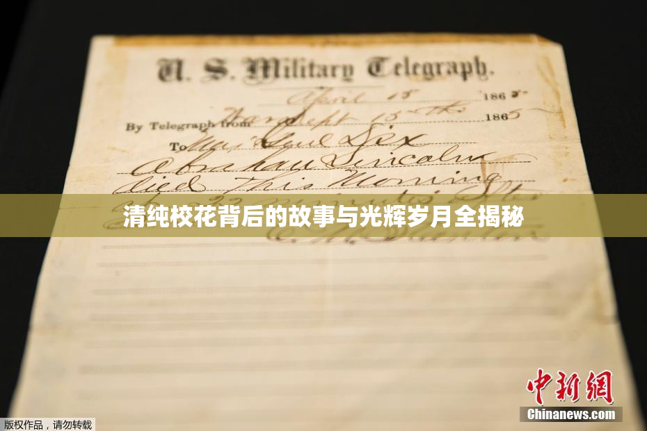 清纯校花背后的故事与光辉岁月全揭秘