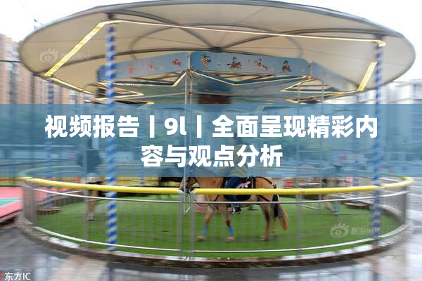 视频报告丨9l丨全面呈现精彩内容与观点分析