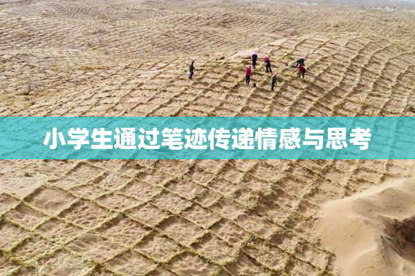 小学生通过笔迹传递情感与思考