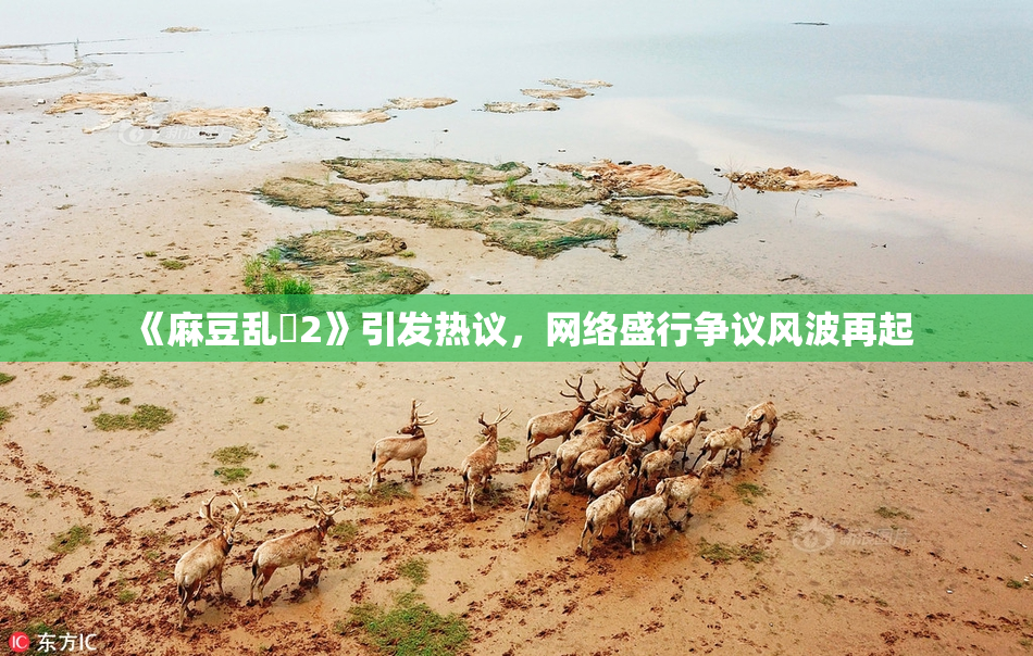 《麻豆乱婬2》引发热议，网络盛行争议风波再起