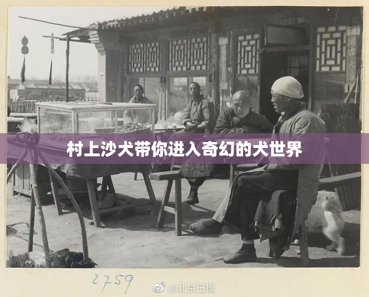 村上沙犬带你进入奇幻的犬世界
