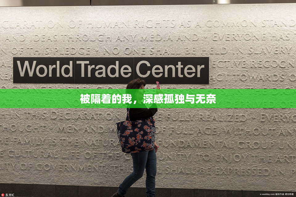 被隔着的我，深感孤独与无奈