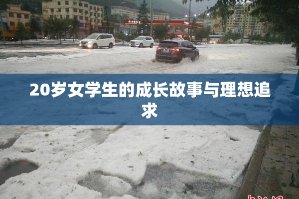 20岁女学生的成长故事与理想追求