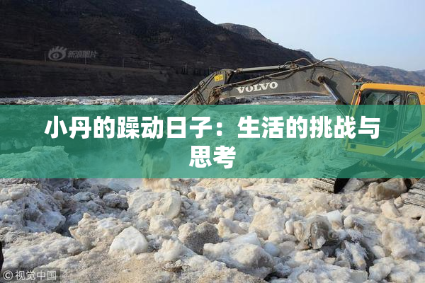 小丹的躁动日子：生活的挑战与思考