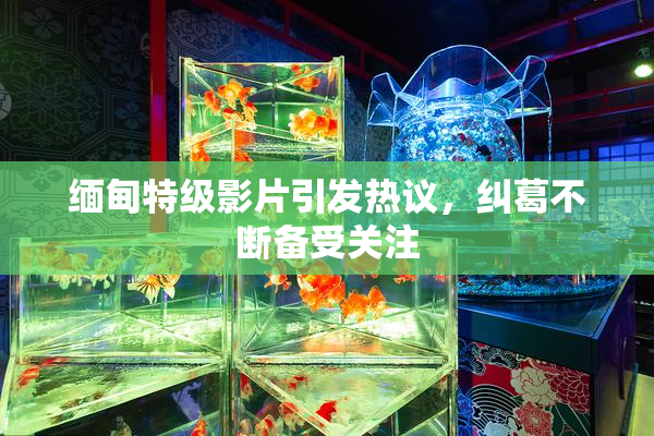 缅甸特级影片引发热议，纠葛不断备受关注