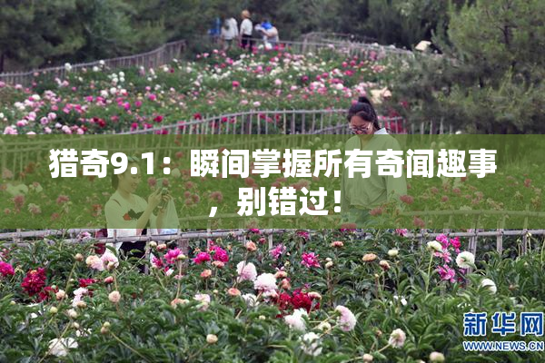 猎奇9.1：瞬间掌握所有奇闻趣事，别错过！