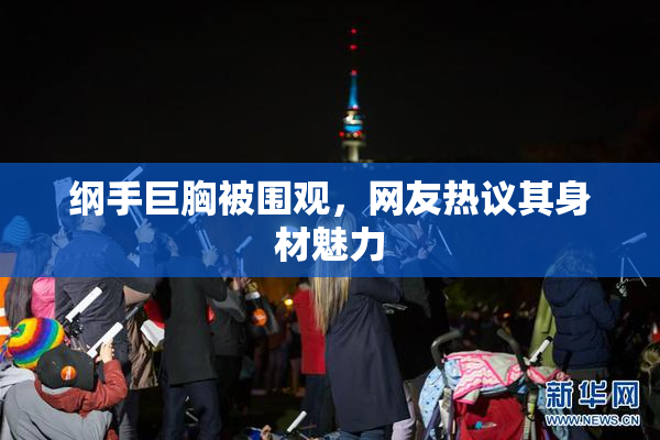 纲手巨胸被围观，网友热议其身材魅力
