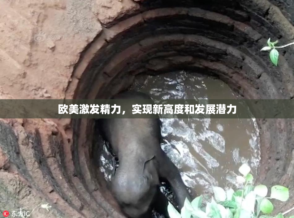 欧美激发精力，实现新高度和发展潜力