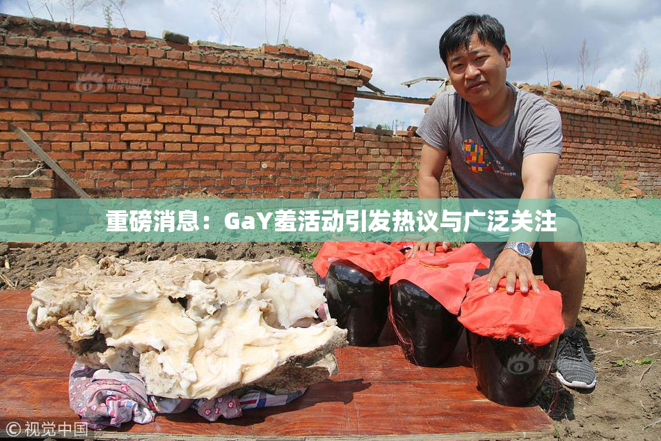 重磅消息：GaY羞活动引发热议与广泛关注