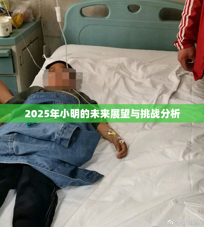 2025年小明的未来展望与挑战分析