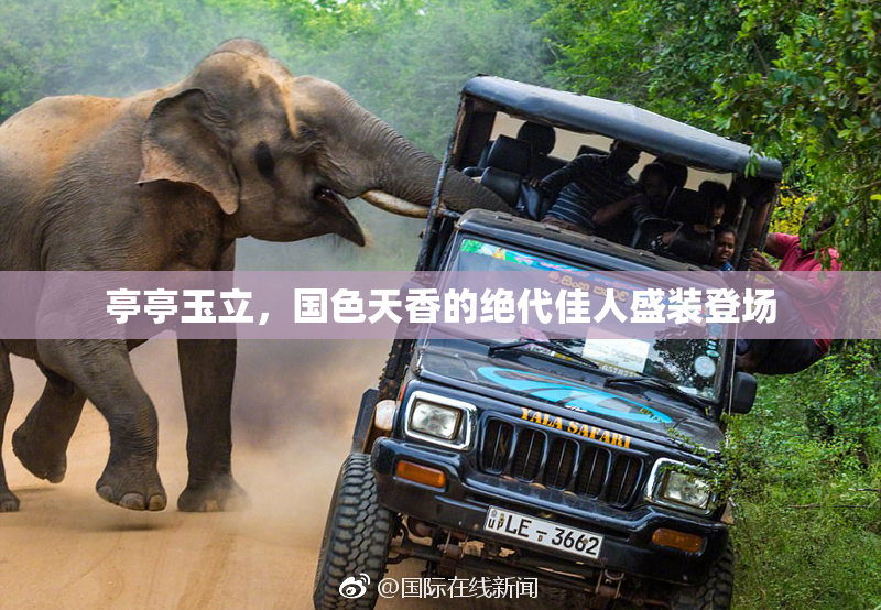 亭亭玉立，国色天香的绝代佳人盛装登场