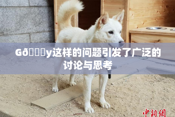 G🈚y这样的问题引发了广泛的讨论与思考