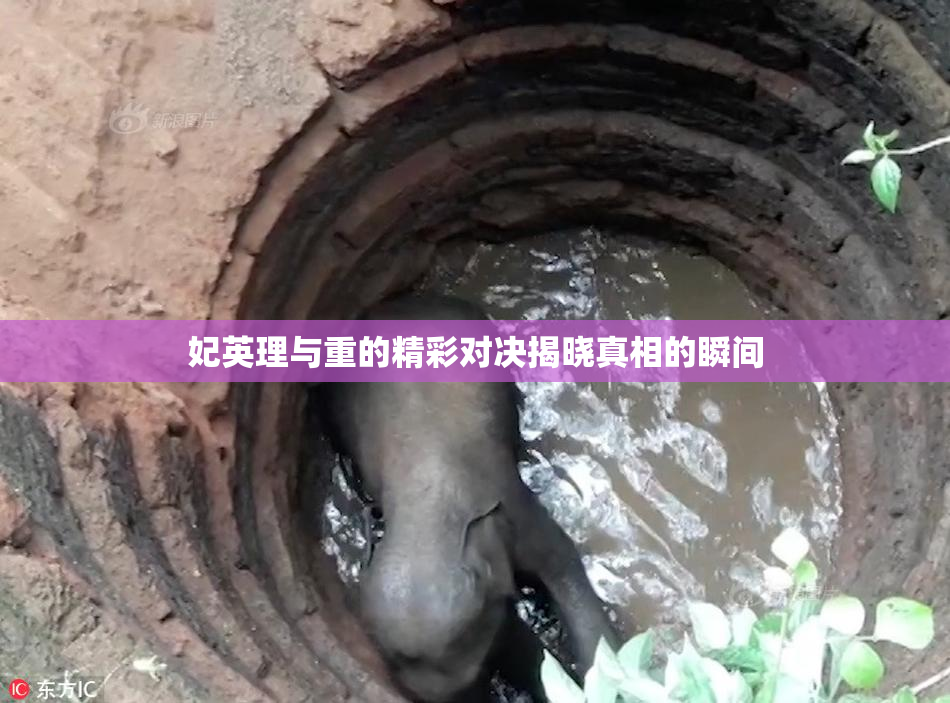 妃英理与重的精彩对决揭晓真相的瞬间
