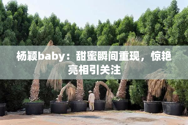杨颖baby：甜蜜瞬间重现，惊艳亮相引关注