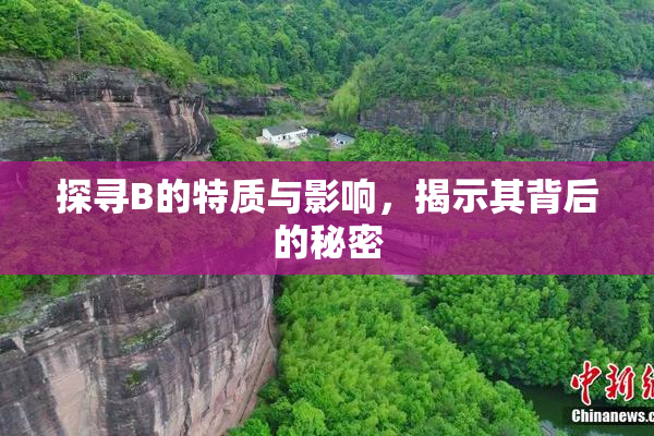 探寻B的特质与影响，揭示其背后的秘密