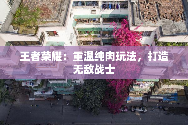 王者荣耀：重温纯肉玩法，打造无敌战士