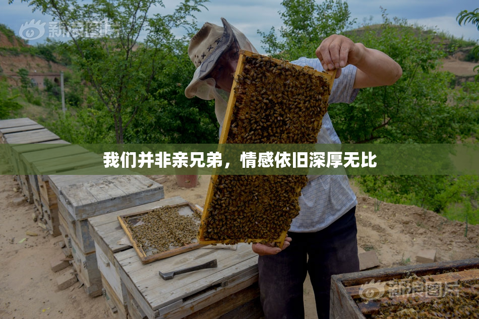 我们并非亲兄弟，情感依旧深厚无比
