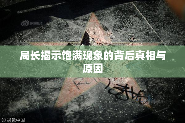 局长揭示饱满现象的背后真相与原因