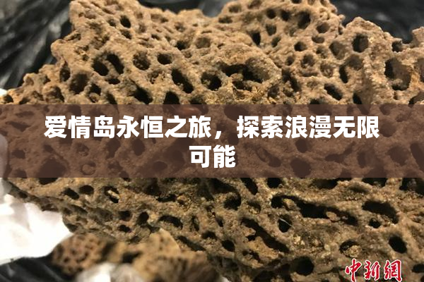 爱情岛永恒之旅，探索浪漫无限可能
