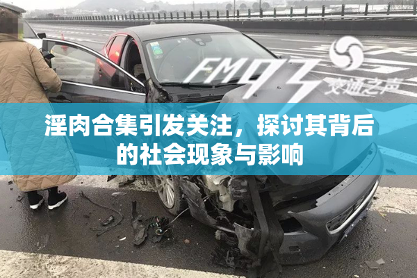 淫肉合集引发关注，探讨其背后的社会现象与影响