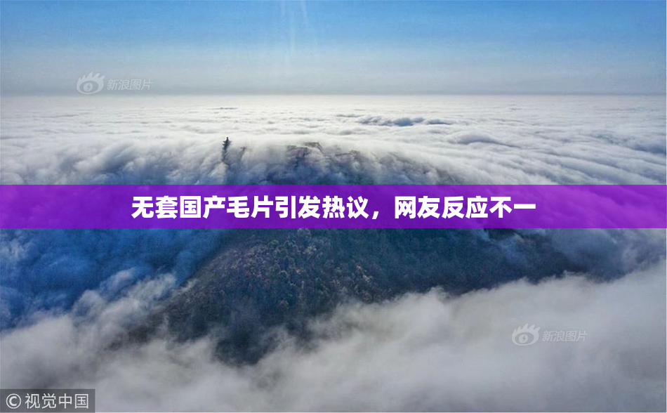 无套国产毛片引发热议，网友反应不一
