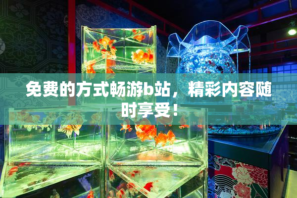 免费的方式畅游b站，精彩内容随时享受！