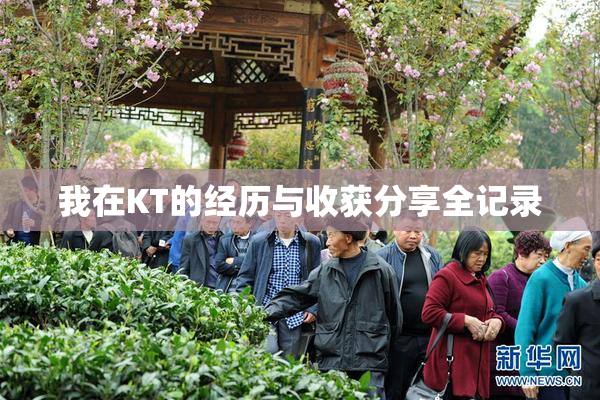 我在KT的经历与收获分享全记录