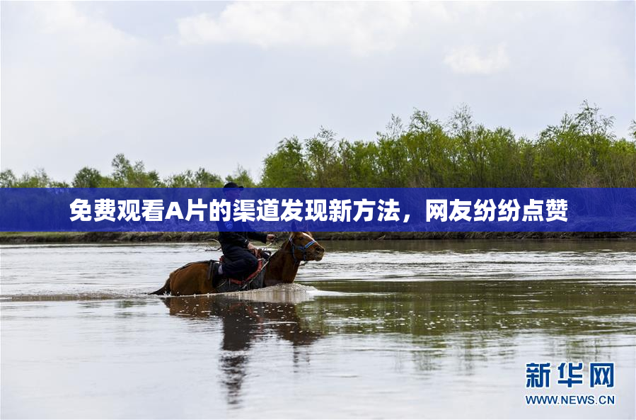 免费观看A片的渠道发现新方法，网友纷纷点赞