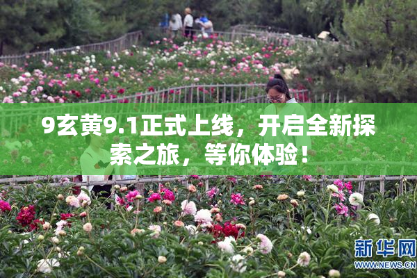 9玄黄9.1正式上线，开启全新探索之旅，等你体验！