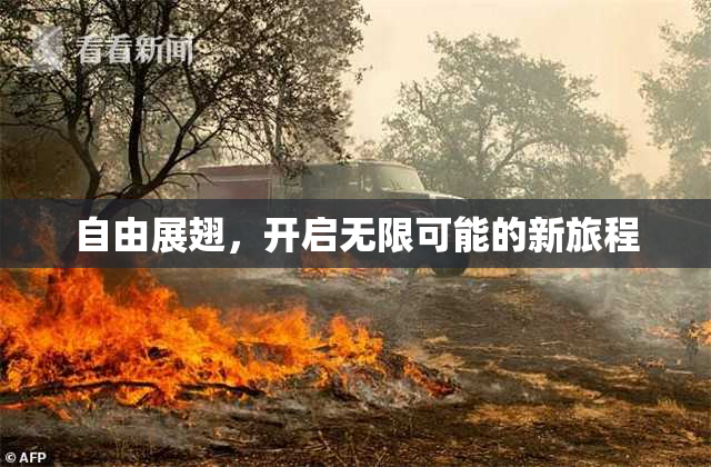 自由展翅，开启无限可能的新旅程