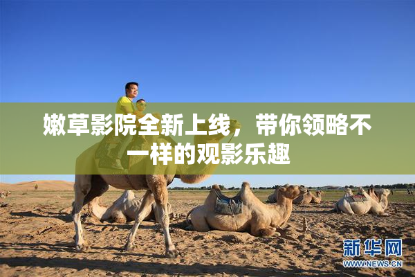 嫩草影院全新上线，带你领略不一样的观影乐趣
