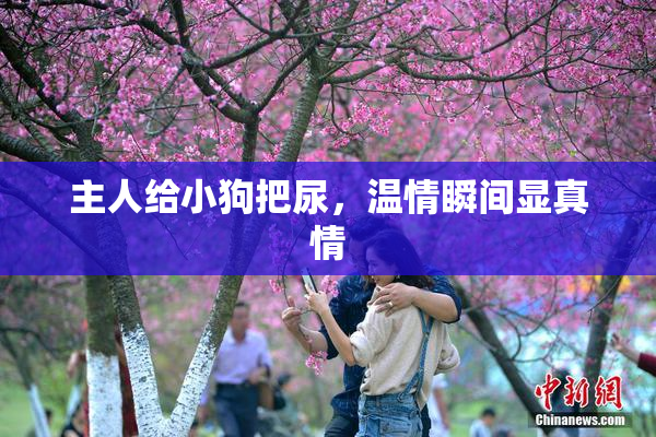 主人给小狗把尿，温情瞬间显真情