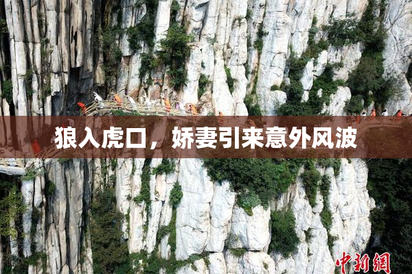 狼入虎口，娇妻引来意外风波