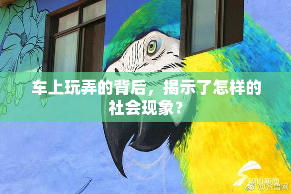 车上玩弄的背后，揭示了怎样的社会现象？