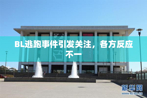 BL逃跑事件引发关注，各方反应不一