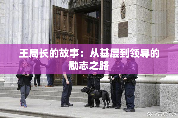 王局长的故事：从基层到领导的励志之路