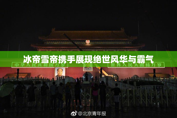 冰帝雪帝携手展现绝世风华与霸气