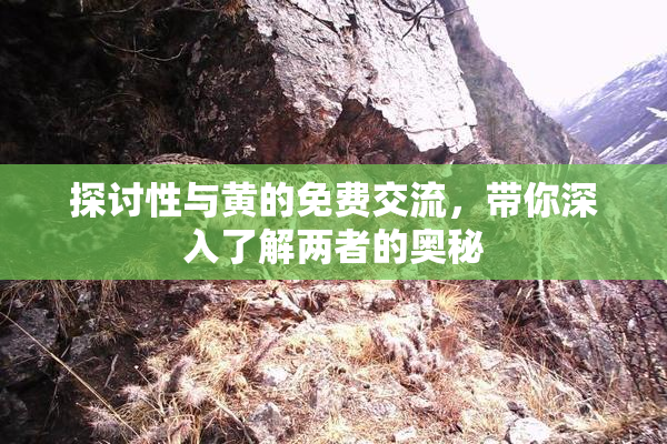 探讨性与黄的免费交流，带你深入了解两者的奥秘