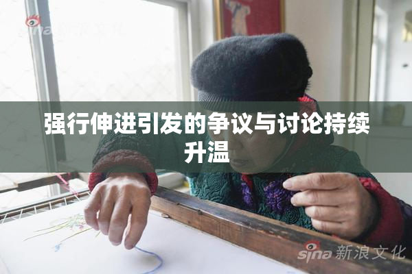 强行伸进引发的争议与讨论持续升温