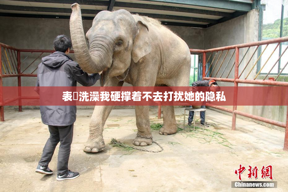 表妺洗澡我硬撑着不去打扰她的隐私