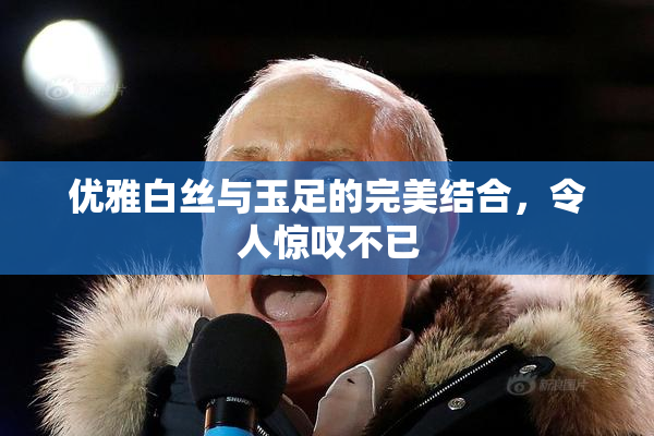 优雅白丝与玉足的完美结合，令人惊叹不已