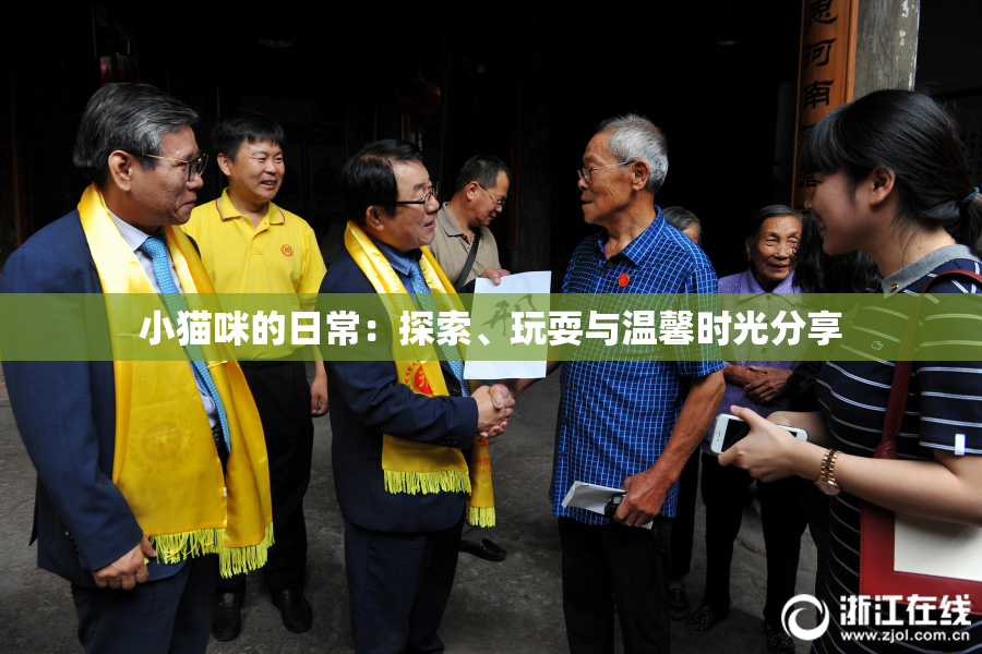 小猫咪的日常：探索、玩耍与温馨时光分享