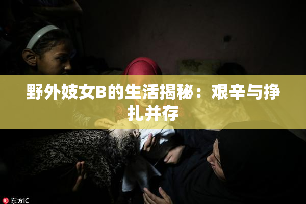 野外妓女B的生活揭秘：艰辛与挣扎并存