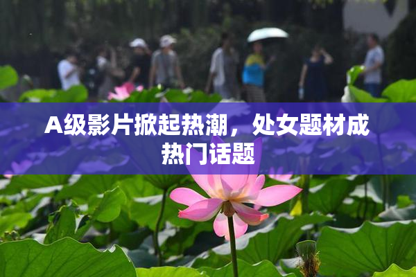A级影片掀起热潮，处女题材成热门话题