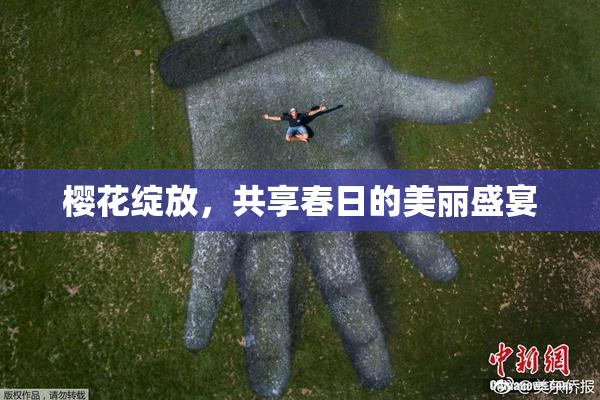 樱花绽放，共享春日的美丽盛宴