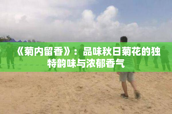 《菊内留香》：品味秋日菊花的独特韵味与浓郁香气