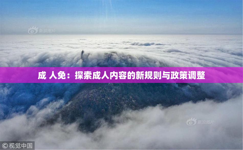 成 人免：探索成人内容的新规则与政策调整