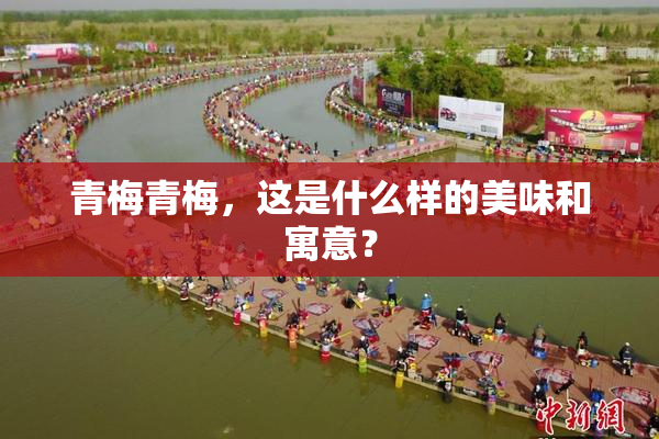 青梅青梅，这是什么样的美味和寓意？