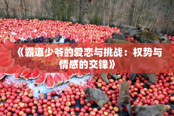 《霸道少爷的爱恋与挑战：权势与情感的交锋》